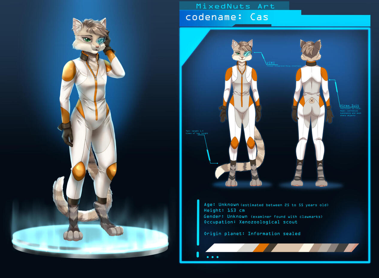 Reference sheet, starting from 40€ includes two full body views flat colored, two views cell shading 65€, three full bodies one fully rendered two flat colored 100€